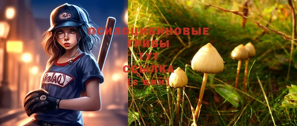 марки nbome Кукмор