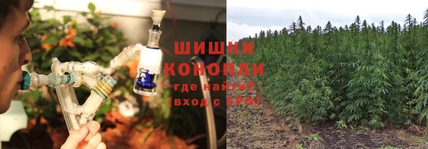 PSILOCYBIN Лагань