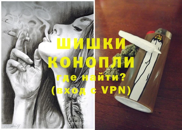 PSILOCYBIN Лагань