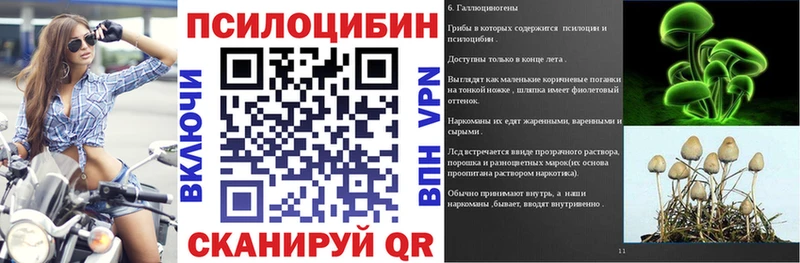 Купить где  Озёры  Галлюциногенные грибы GOLDEN TEACHER 